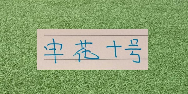 谢天谢地谢鹏飞！拉唐要敲木鱼了 今年代表申花有2黄1红了